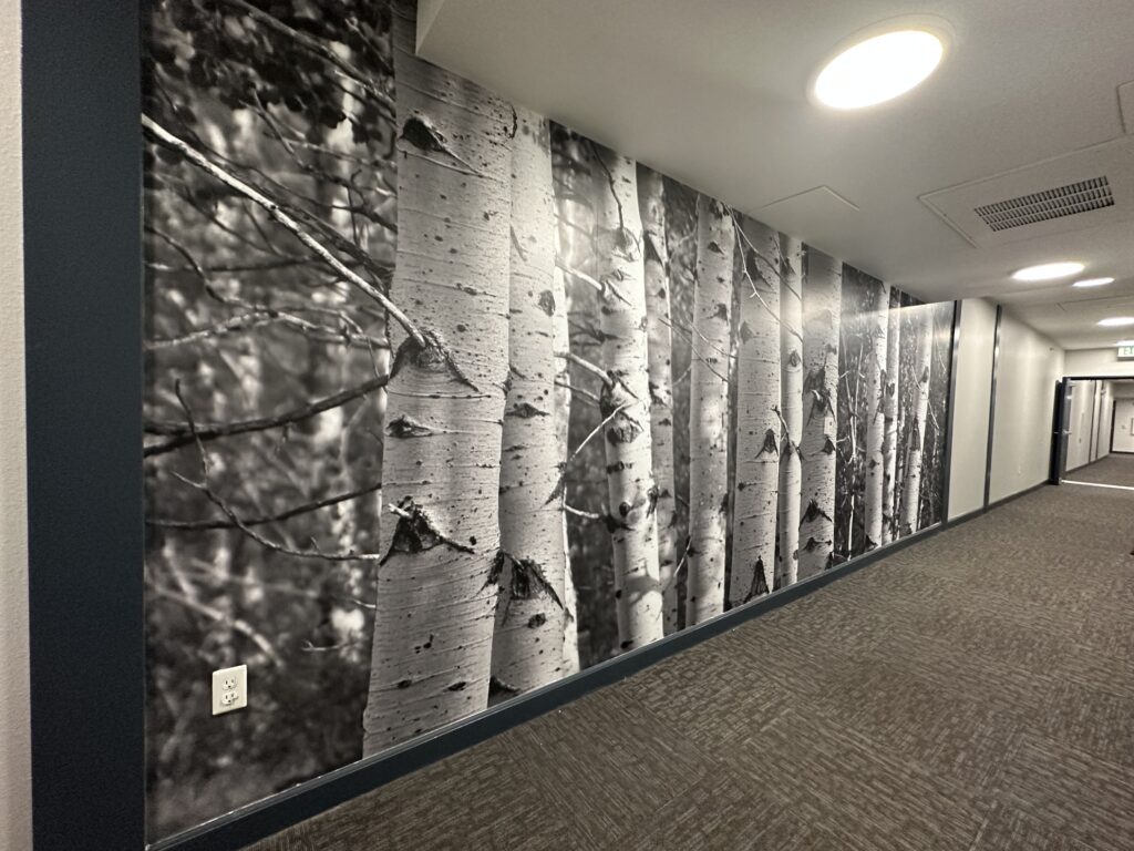 Mile-high-graphics-spire-design-interior-wall-mural-image4-2023-03-27